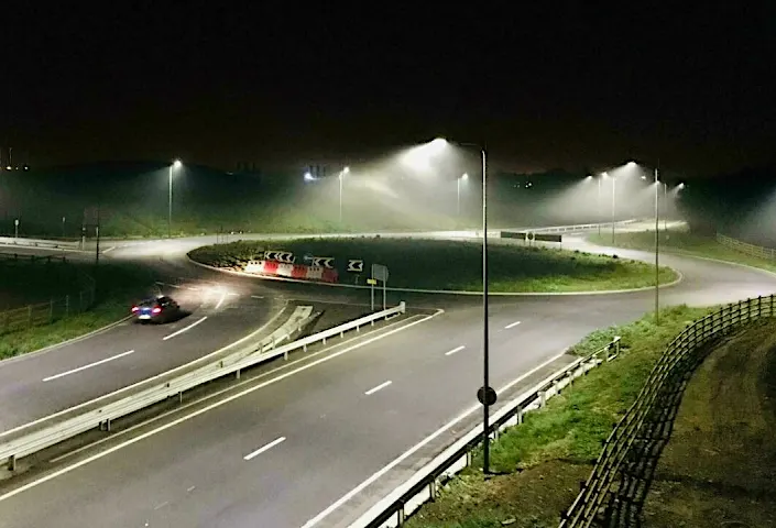 LED streetlights contribute to insect population declines: study