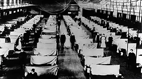 Coronavirus: What can we learn from the Spanish flu?