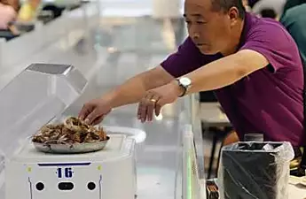 Chip labour: Robots replace waiters in China restaurant