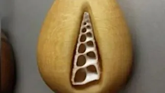 奇妙な形をしたネックレスをプレゼントした男性。2年後に中身を開けた彼女は悲鳴を上げた