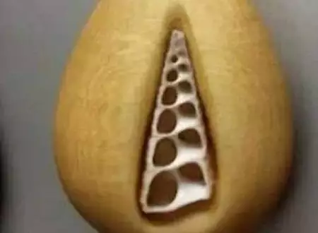 奇妙な形をしたネックレスをプレゼントした男性。2年後に中身を開けた彼女は悲鳴を上げた