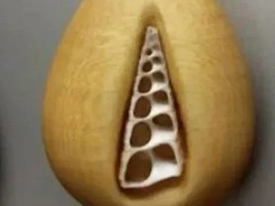 奇妙な形をしたネックレスをプレゼントした男性。2年後に中身を開けた彼女は悲鳴を上げた