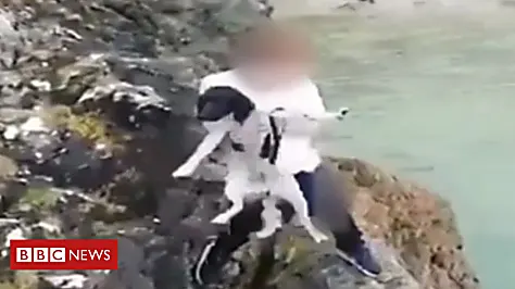 Teenager throws dog off cliff into sea