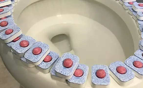 This woman puts a dishwasher tablet in her toilet and this is what happens next!