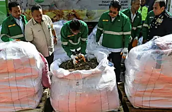 Malaysia torches 2.8 tonnes of African pangolin scales