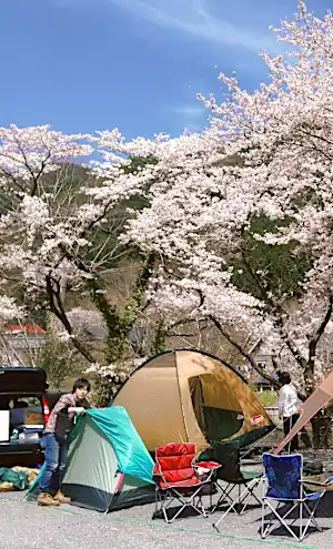 春に訪れたい、おすすめのキャンプ場 (東日本編)