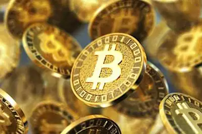 Este OranjeBTC tem um ponto de venda no Brasil para nossa conexão digital. Este OranjeBTC tem um ponto de venda no Brasil para nossa conexão digital.