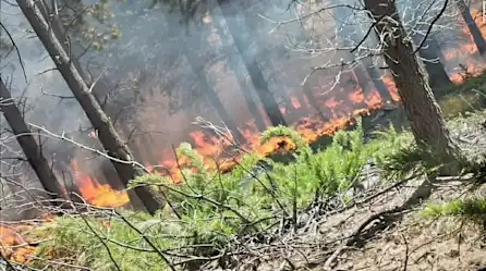 Mira los incendios forestales en la Patagonia argentina | Video