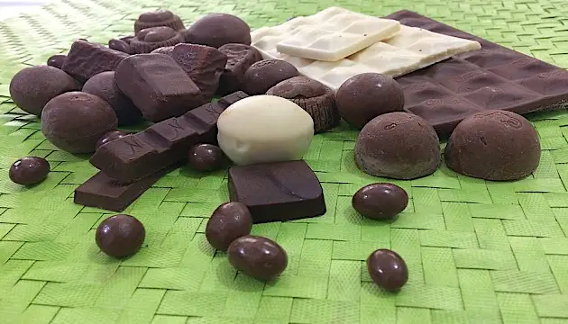 Festival celebra sabor e produção do chocolate