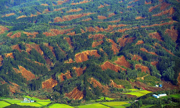 Hokkaido earthquake: In pictures