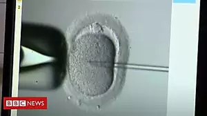 Call to do more to protect IVF patients