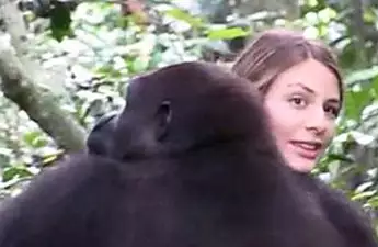 [Photos] This is What Happened When His Wife Met the Gorilla He Raised
