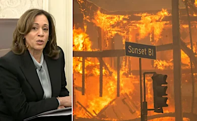 Harris mocked for 'confusing word salad' telling LA wildfire victims it's 'critically important' to be patient