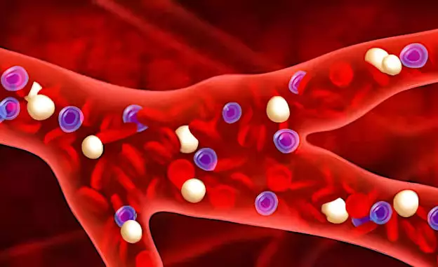 Entdecken Sie Japans Geheimnis für niedrigeres Cholesterin