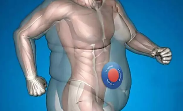 Kardiologe: Ein Pflaster täglich – und Ihr Bauchfett beginnt zu schmelzen!