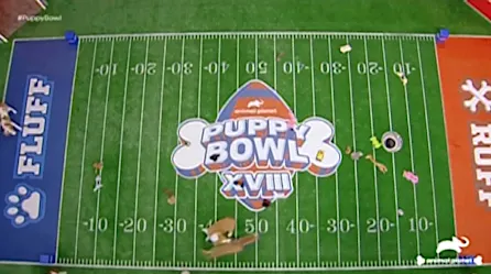 ¿Quién fue el ganador del Puppy Bowl 2022? | Video