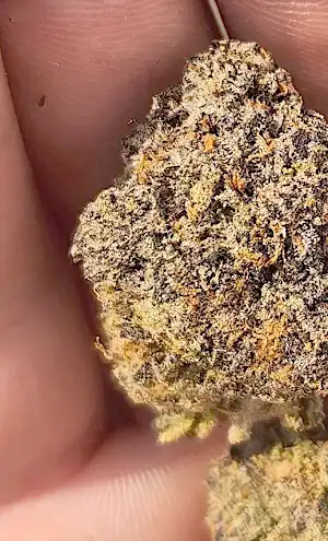 New York Legalizes Online Cannabis Purchases