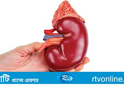 যৌতুকের টাকার জন্য স্ত্রীর কিডনি বিক্রি!