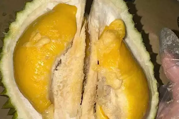 Ο μεγάλος εχθρός των αιμορροΐδων! Διαβάστε αυτό το άρθρο.