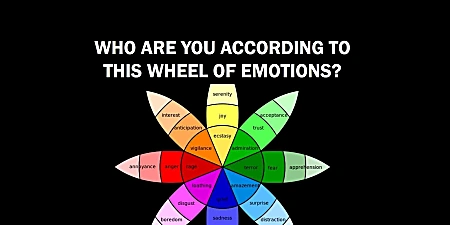 The Colors You Choose In The Famous Wheel Of Emotions Can Determine Who You Are