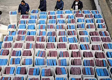 Το Νεπάλ ξεκινά προεκλογικές εκστρατείες για τις πρώτες εκλογές μετά την εξέγερση