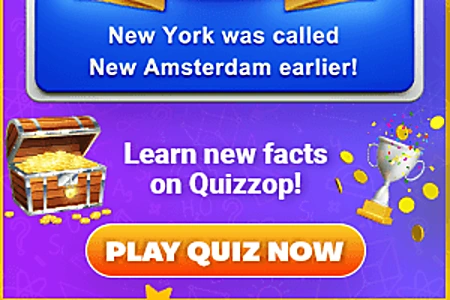 Play Quizzes, Earn Coins