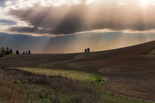 TecnoXplora TecnoXplora La fotosíntesis del suelo ayuda a mitigar la contaminación ambiental TecnoXplora TecnoXplora La fotosíntesis del suelo ayuda a mitigar la contaminación ambiental
