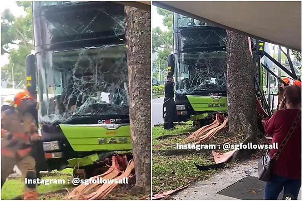SMRT bus driver, 58, dies after crashing vehicle into tree in Woodlands