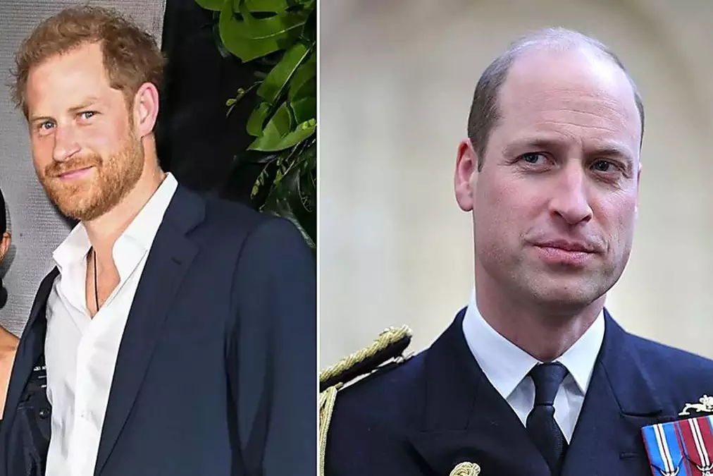 Harry and Meghan 'foaming at the mouth' at idea of William becoming King