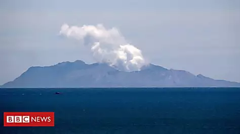 White Island volcano: Why skin is being imported