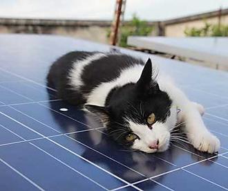 Thinking About Going Solar In New York? Read This First