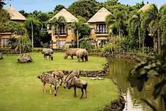 Unsold All-Inclusive African Safaris Are So Cheap Now (Search For Deals)