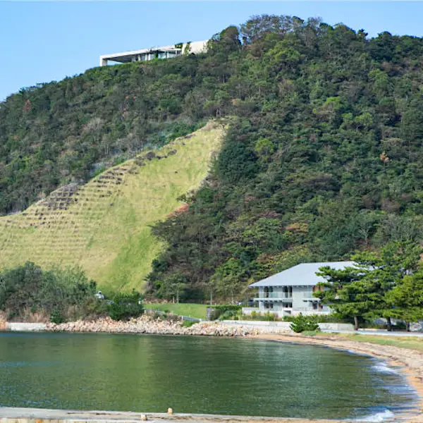 災害に遭った「直島」が挑戦する、自然再生の取り組み
