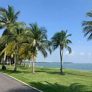 Jalan Loyang Besar EC - 3 to 5Bedroom Units Available