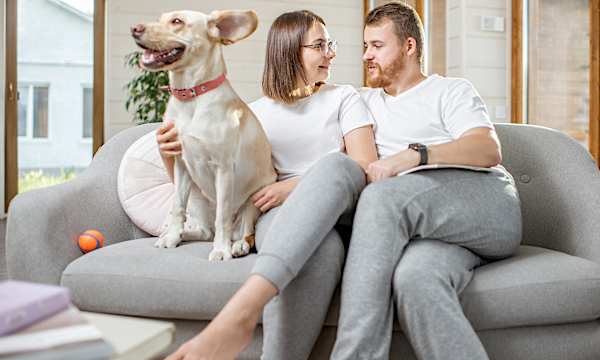 These are the super-comfy pants you can wear every day These are the super-comfy pants you can wear every day