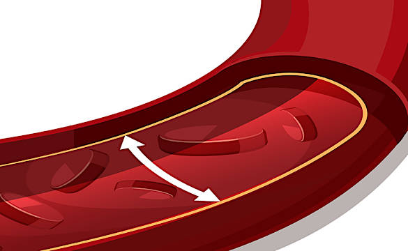 なぜ血圧は高くなる?意外な原因と知っておくべきリスクとは なぜ血圧は高くなる?意外な原因と知っておくべきリスクとは