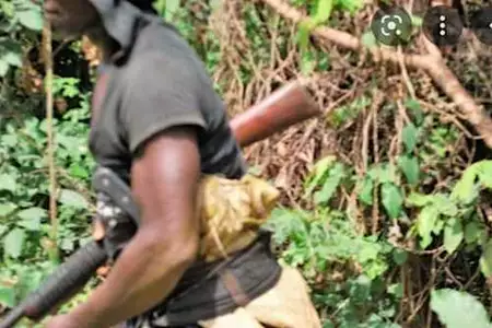 Hunters arrest killers of filling station manager, hands them over to police