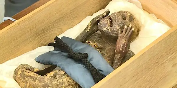 寺に眠る「人魚のミイラ」その正体は？ CT検査で解明へ　写真をお守りにする人も【岡山発】