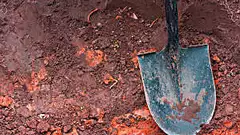 What to do if You Have Clay Soil