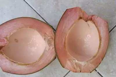 Hai grasso sulla pancia? Fai questo ogni giorno