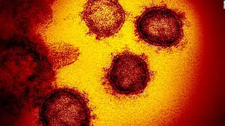 Medicamento contra acidez podría combatir el coronavirus