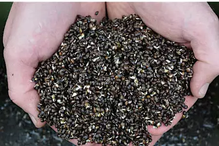 A simple tip alleviates years of vision loss (try it tonight)