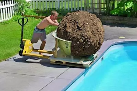 A man is fed up with his neighbors using his pool, so he does this A man is fed up with his neighbors using his pool, so he does this