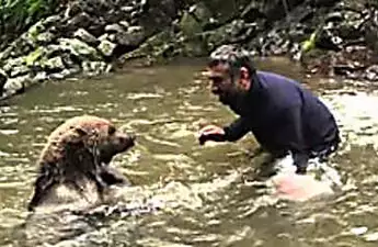 [Pics] What This Mama Bear Did After Man Saved Her Cubs is Heartwarming