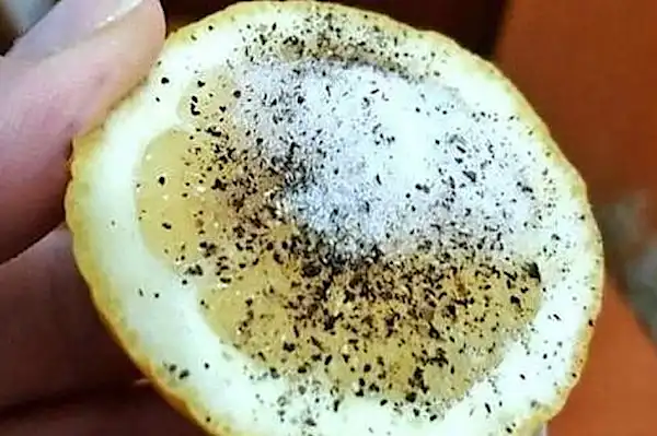 Put a bit of pepper and salt on a lemon. A miracle cure!