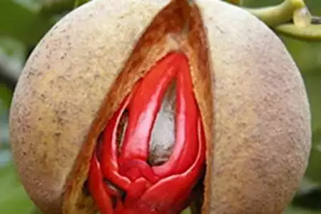 Glaucoma and cataract can disappear! And vision can return quickly. (Stop Doing This)