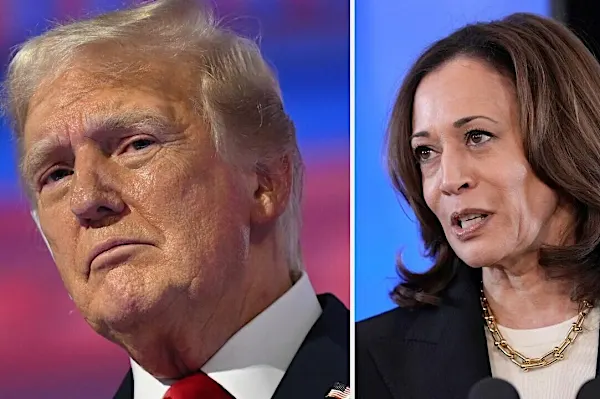 How polls rate Kamala Harris's chances against Trump