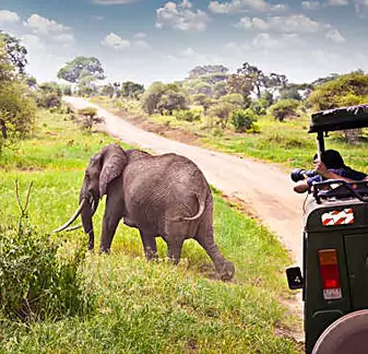 The cost of Botswana safari may surprise you