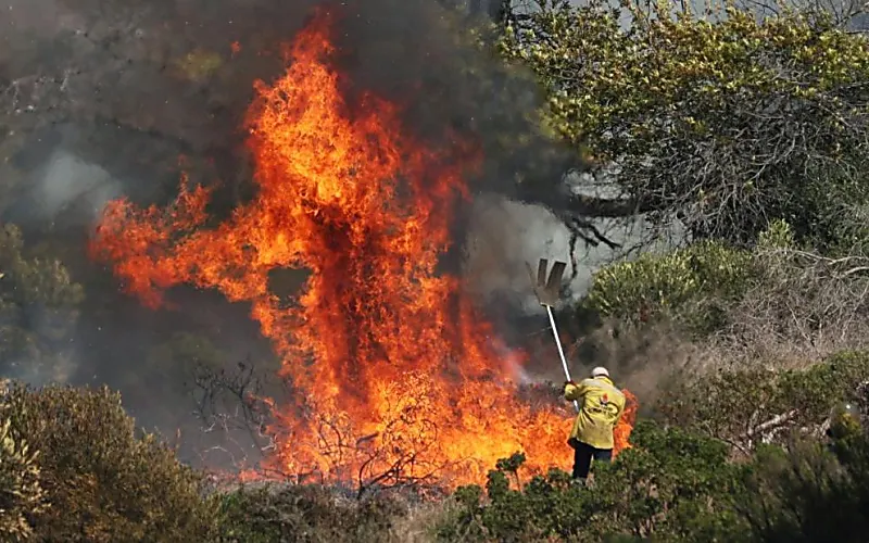 'Out of control' fire breaks out in Cape Town's Table Mountain National Park