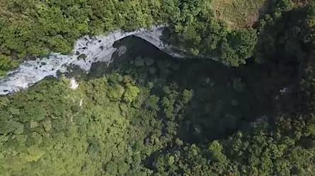 Descubren un bosque oculto dentro de un sumidero gigante en China